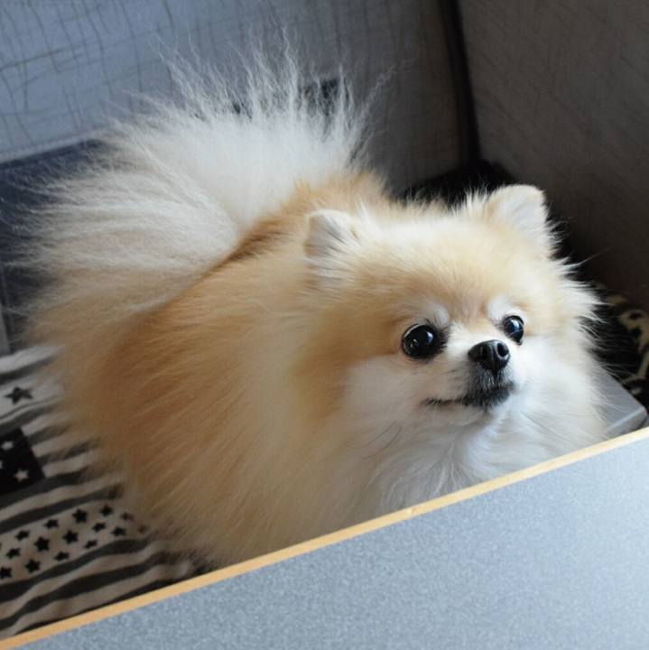 D10c2a9f 4d53 43cc b8ae 96a6bfdaa49b