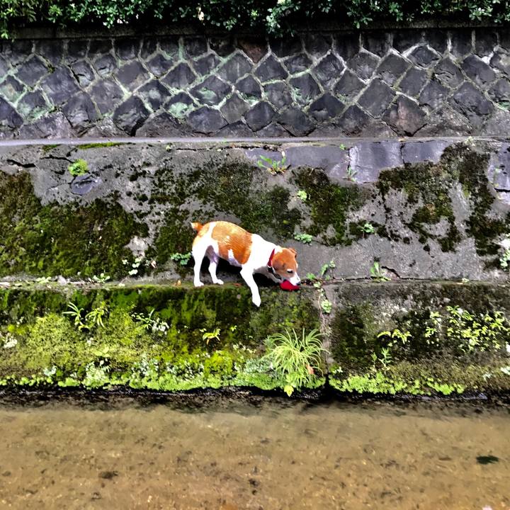 D10c4619 4f32 43ef b7cf 50126efd51ac