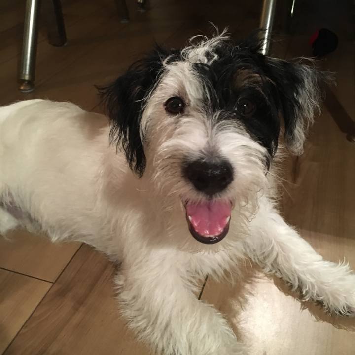 D10c4e4c 92fc 419d b51a 63b5e692fda2