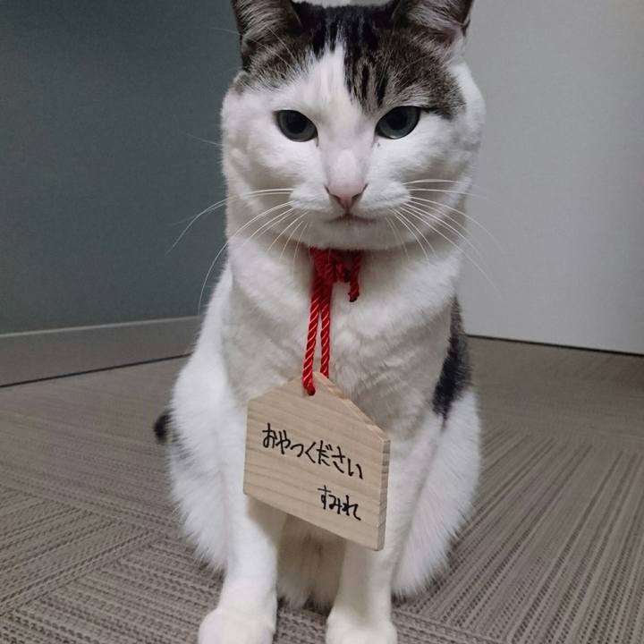 D10d012f 83c5 42e2 86cf 61c22c146c8f