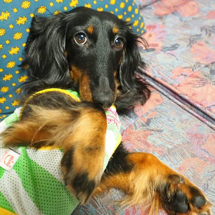 D10d38f8 c053 4e45 9150 7df33a459d53