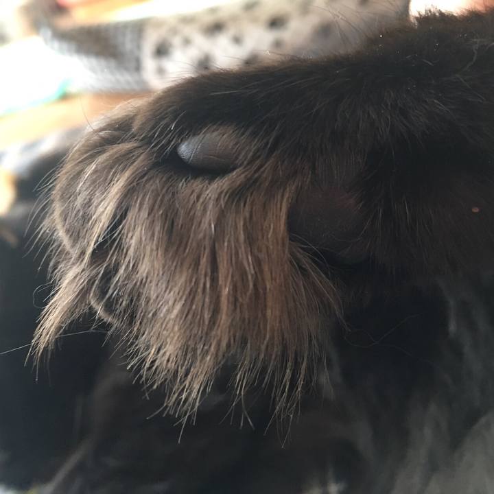 D10ef6f5 43fe 4300 ae3e 24befd09965e