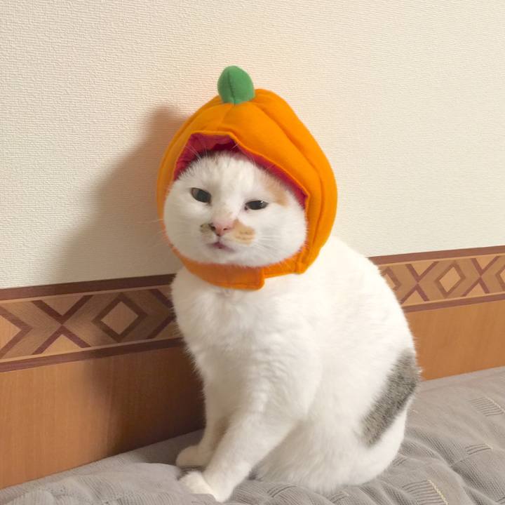 D10f2064 bce8 4ee1 992c a8f555d5d3c2