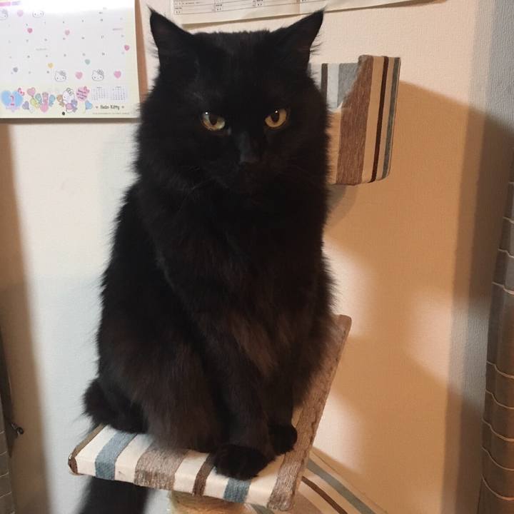 D10f33fe 66ea 4000 aef3 55983c66c206