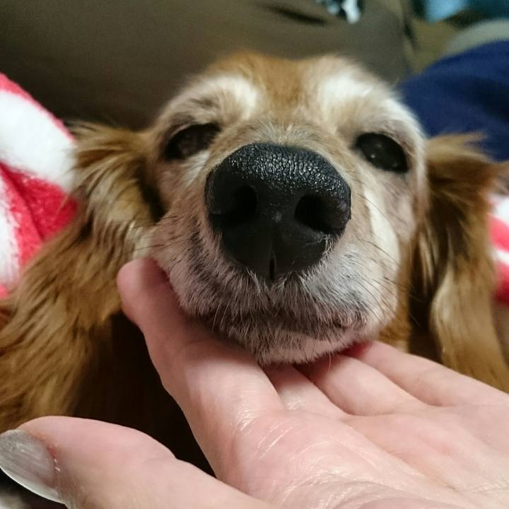 D10f7435 879a 4569 8c6b 00ce1649a310