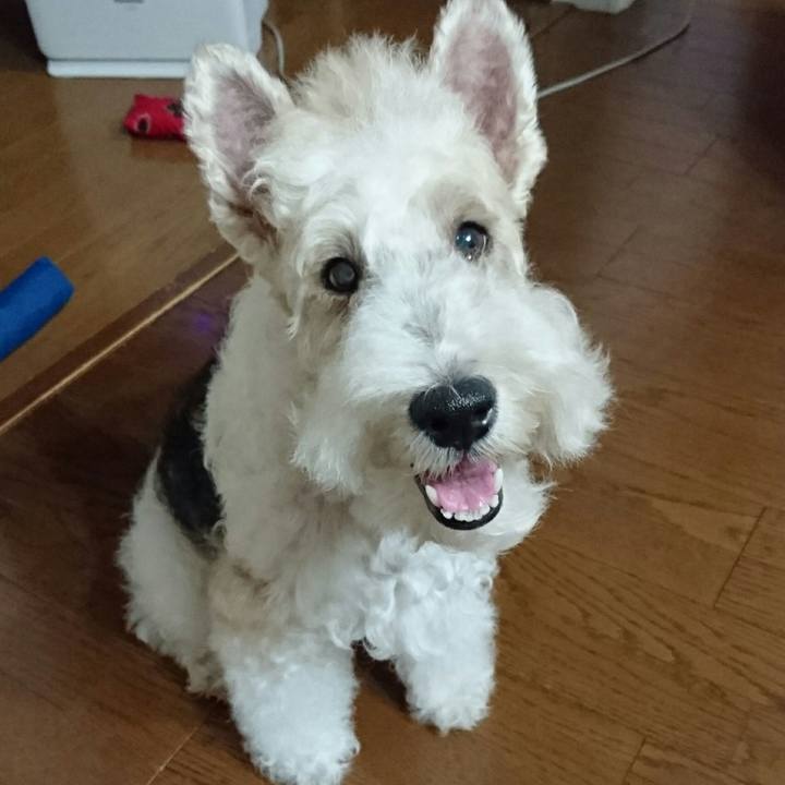 D10f8638 ffc6 49df 8680 5973c470ca68