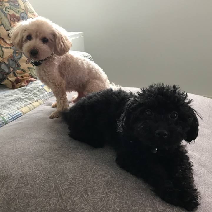 D10f8692 b2d9 4285 866e 53e6dbc7e9b6