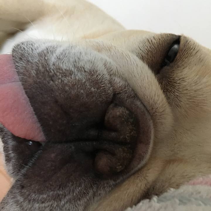 D1103c55 e8a7 4398 a3ce 9b748d8e06c6