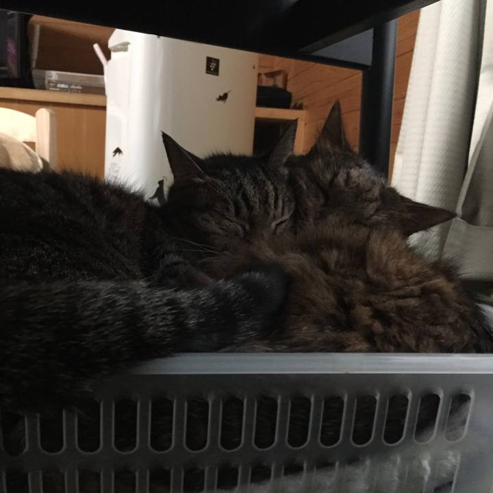 D110a691 1c20 4614 b697 88d2be24b0a9