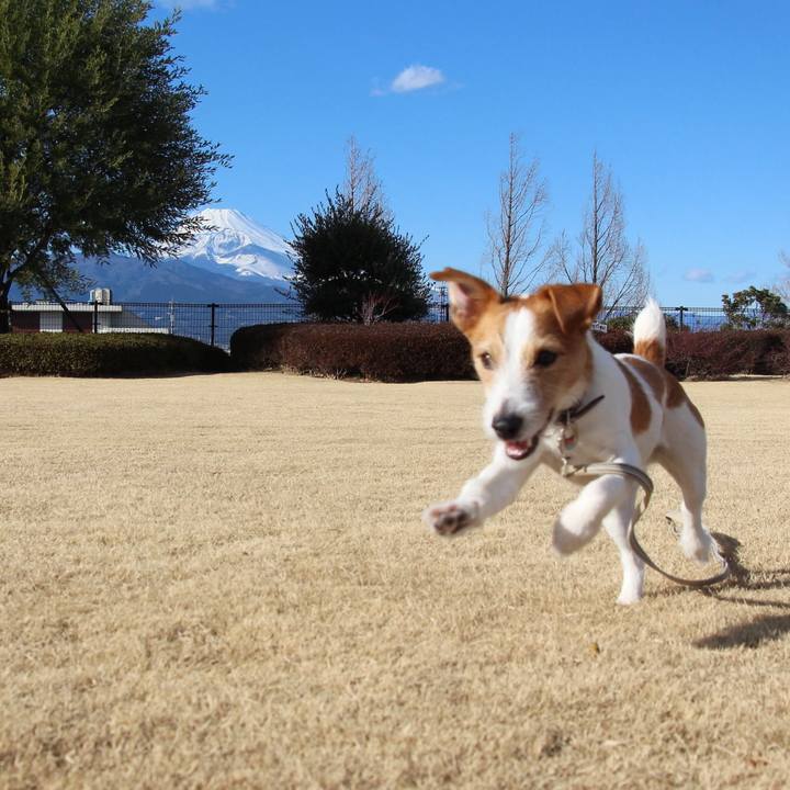 D110bd95 5c2f 4940 b65e c43d978e8d3a