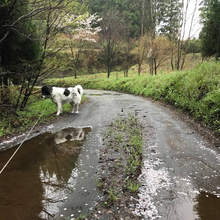 D110db3d e2f8 4b1a 9367 0ef1c3a58fb9