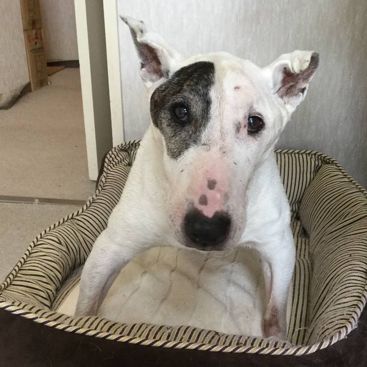 D11150e2 671f 4dc1 80c0 db4f95c1521f