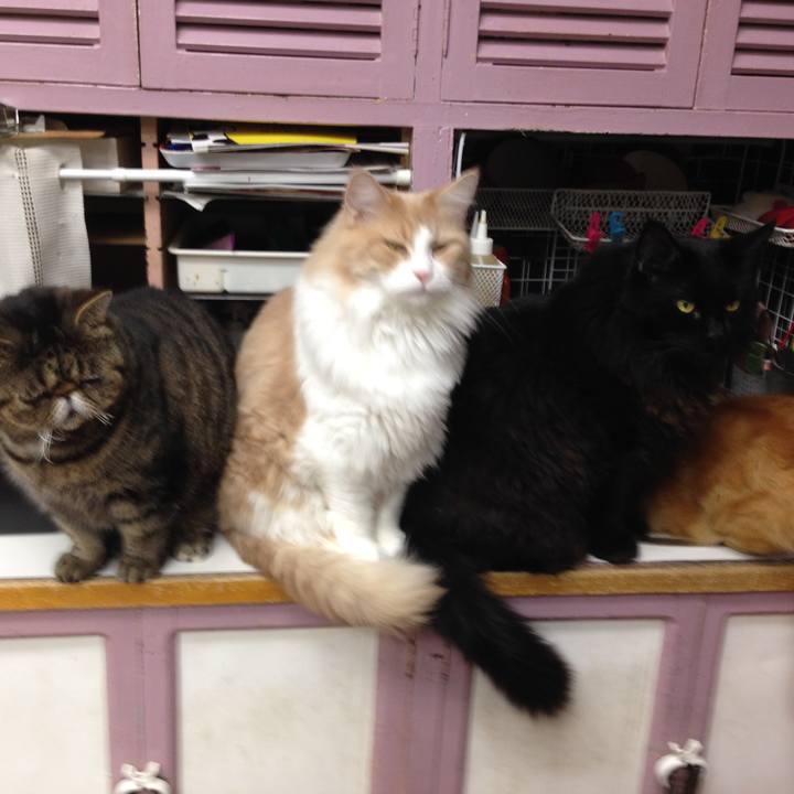 D111be6f 4938 4c58 ab03 482cb594b44e