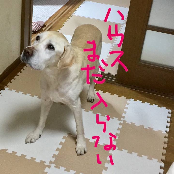 D111d164 c27d 40de bea4 e01c11734850