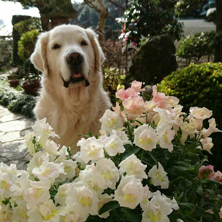 D11261e7 df03 4080 b0ad 6562011aef0e