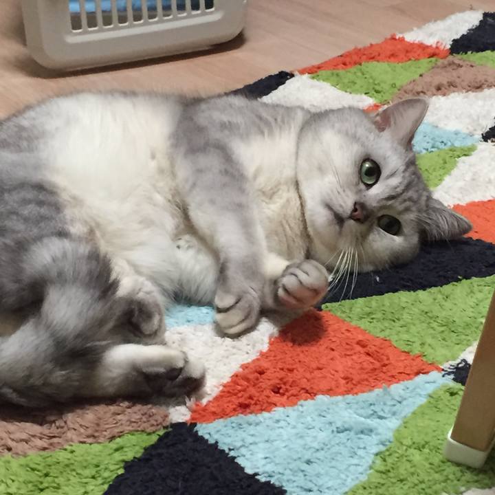 D1134a50 7d6c 4ea7 956a 34b4dbce88a2