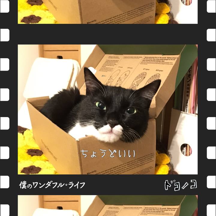 D113ad08 f442 4571 999a b18d7f8a41cc