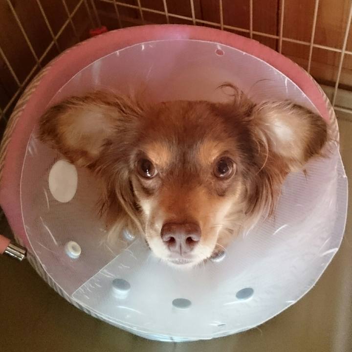 D114f575 5dbe 488c 8ba2 dc0d015c0a97