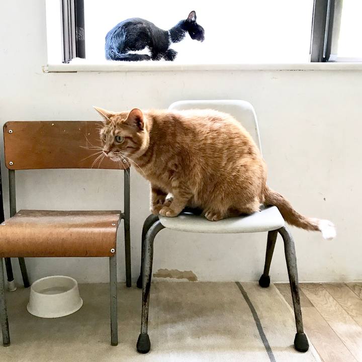 D115c88d 2120 4a9f a358 1cc648b278ce