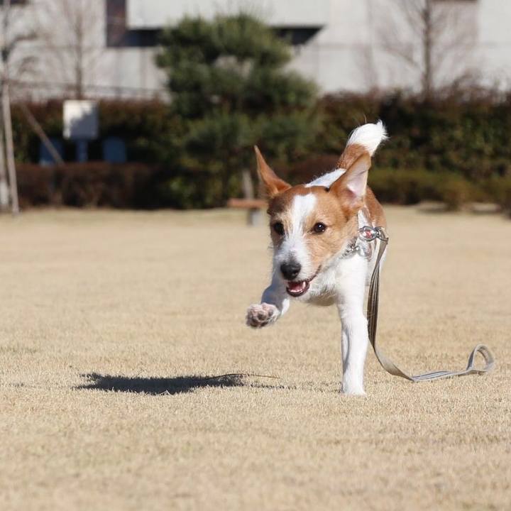 D1170551 224f 4f8d 86ed 1f69e9ffc3c1