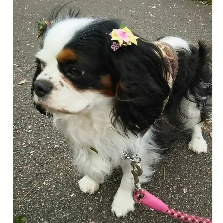 D1172102 f273 496a b1d7 f96a30fb1996