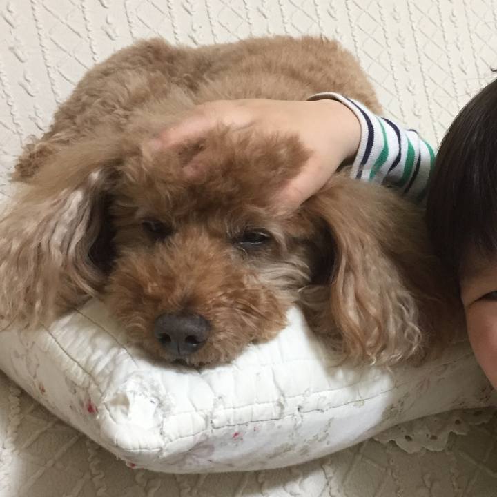 D11757c3 810e 4f66 8ed1 654a5f3e94ec