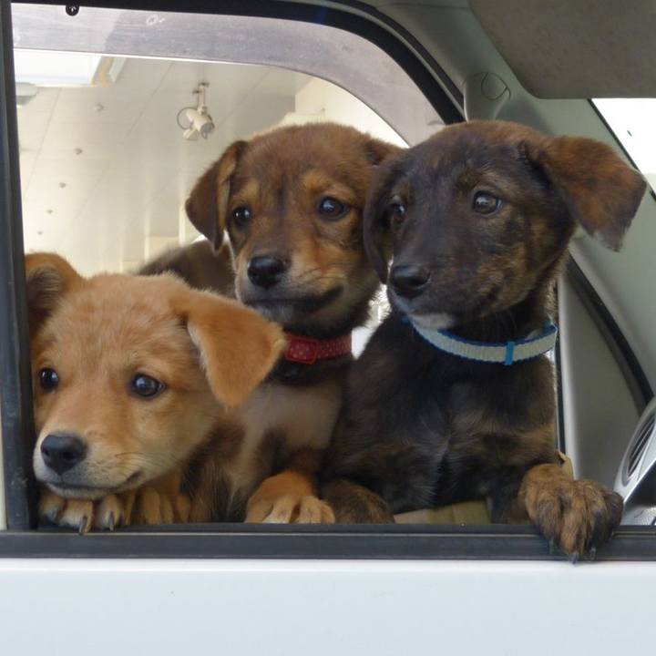 D1178a5f d988 4d71 9ba2 b4bcdd6eda56