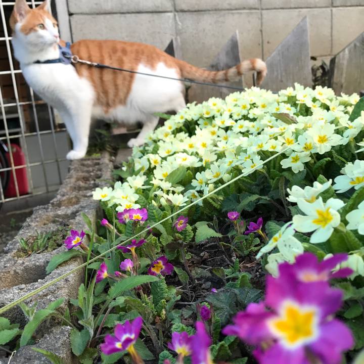 D117ac0b 582c 4997 bc13 b2489dac80fb