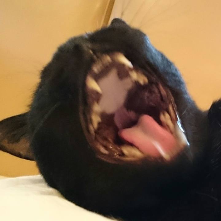 D11809ad 1e59 4b6e 8318 cb03f5ea15bf