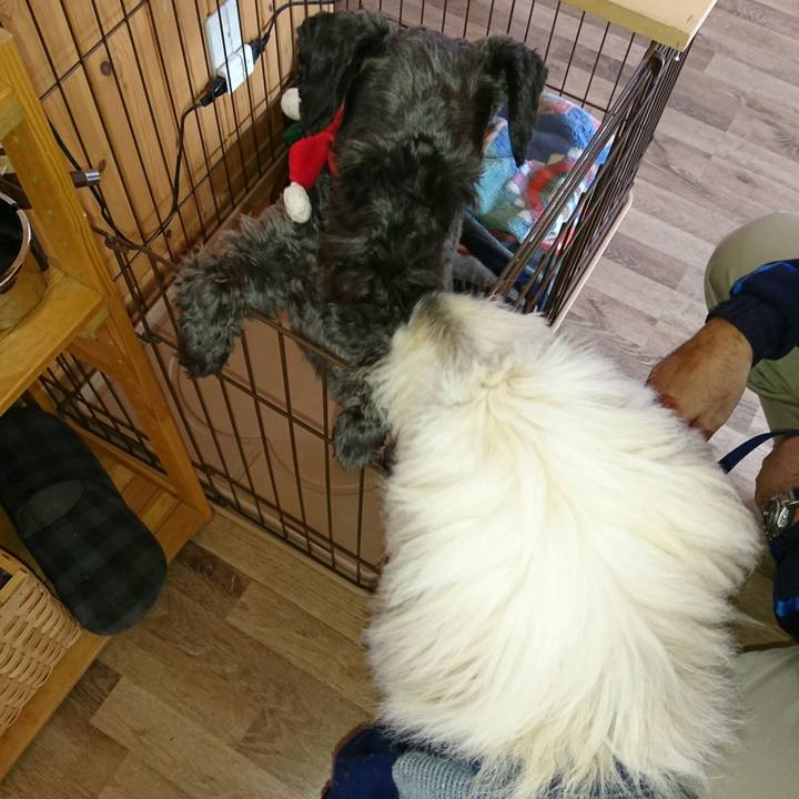 D118a793 4d72 45bf 84e6 c8e193645a85