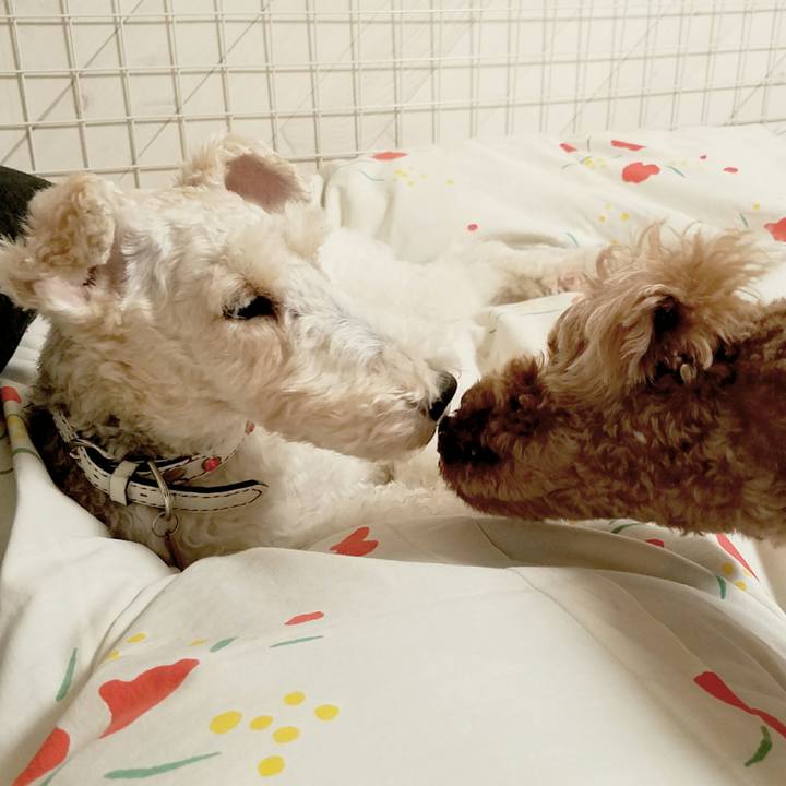 D118d340 342d 4700 afdc eaadc23fcc7c