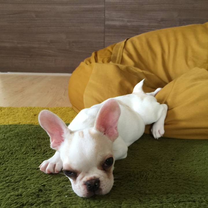 D11953b8 6bfc 45c8 aad8 92b3d753de8e