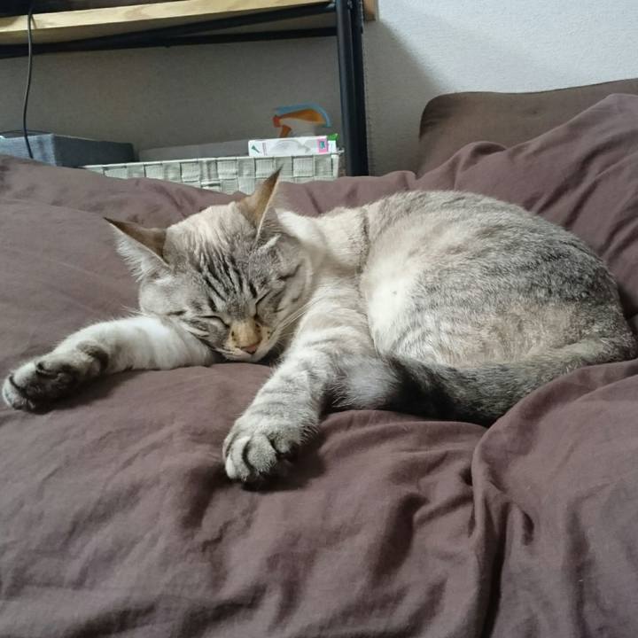 D1196df0 b757 4ba1 9eee a28a352749f4