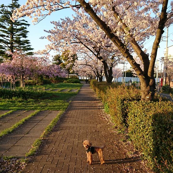 D1197370 1cc1 4b5e 8721 17d93872b301