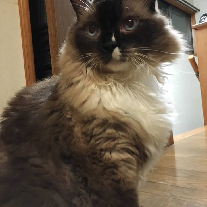 D11a4bf4 32ad 4ce1 b68b 795661675e2b