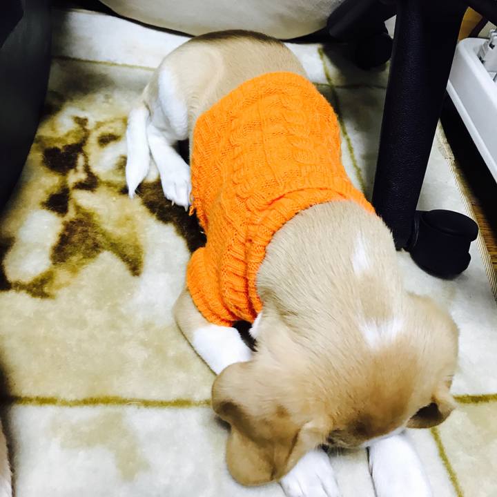 D11aae17 caaf 4b94 a4bb 320945acf664