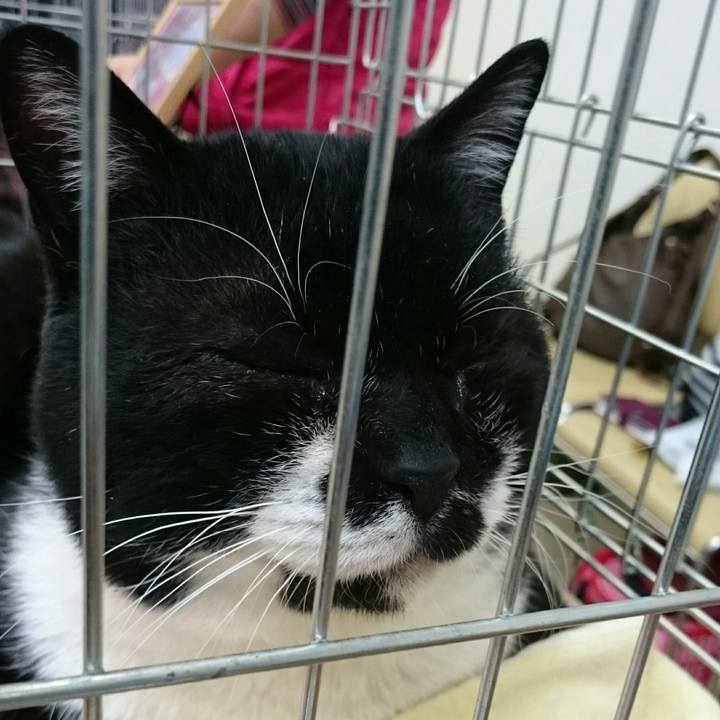 D11ab5c6 84dd 4925 891e 6385dbc136fd