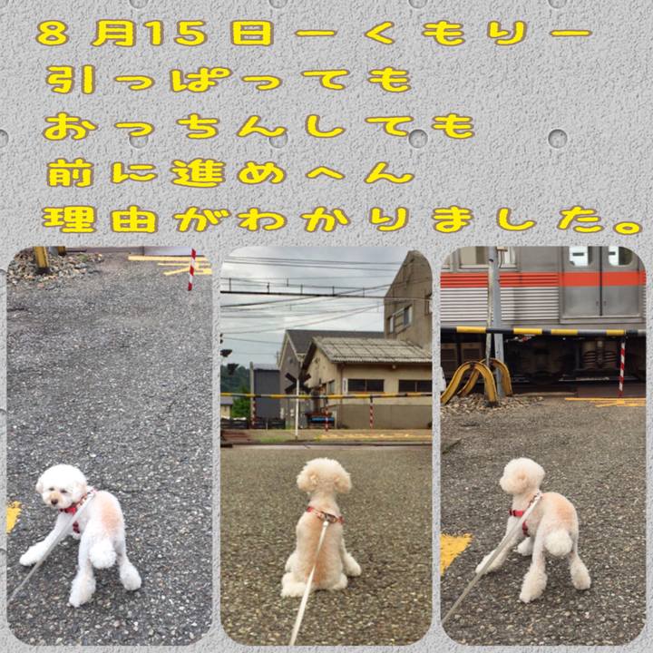 D11abf37 51a7 47b3 afd0 37fdf2e66523