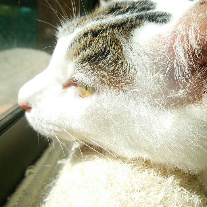 D11b0d2c 13b9 4394 8b01 9dcdfd071851