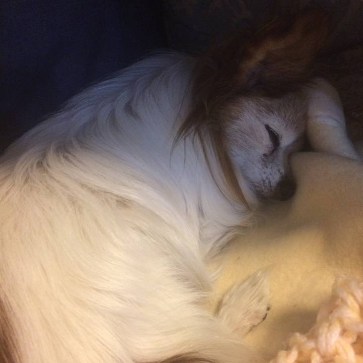 D11b4344 ad75 49de 8344 e7b707f06810