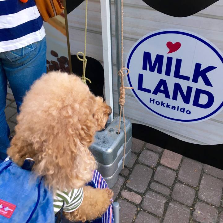 D11b471c cd0f 4787 96a9 c0d9c80ef99b