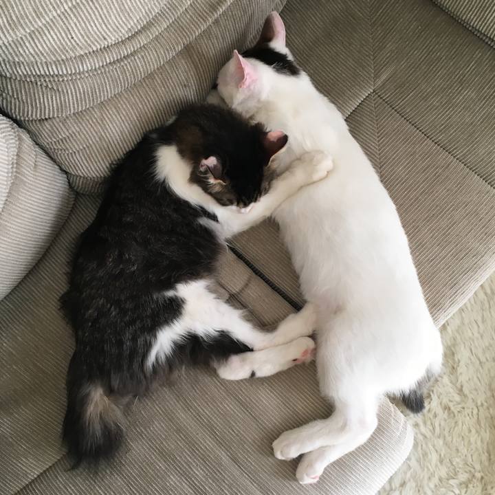 D11bcb2c 316b 4846 81e3 fceb633f9248