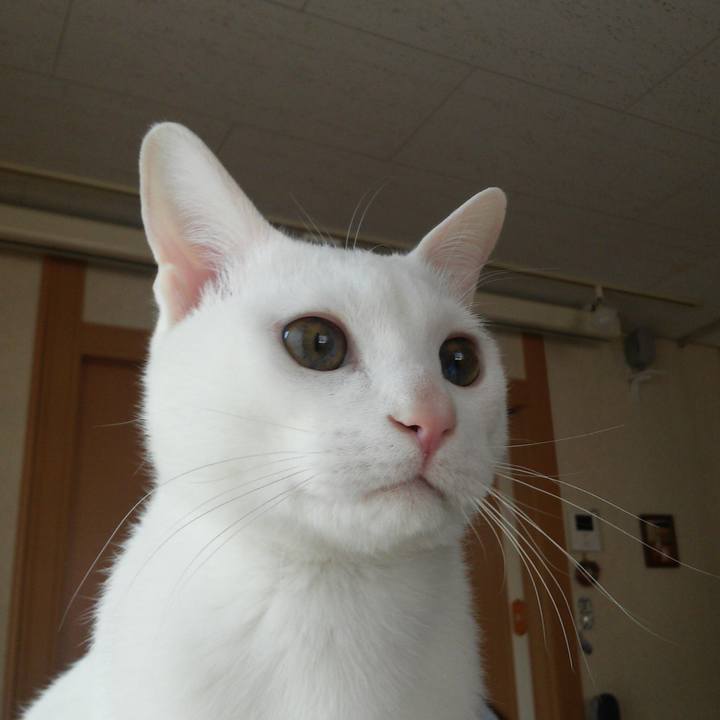 D11bdb55 d128 4758 9103 65d61727ae18