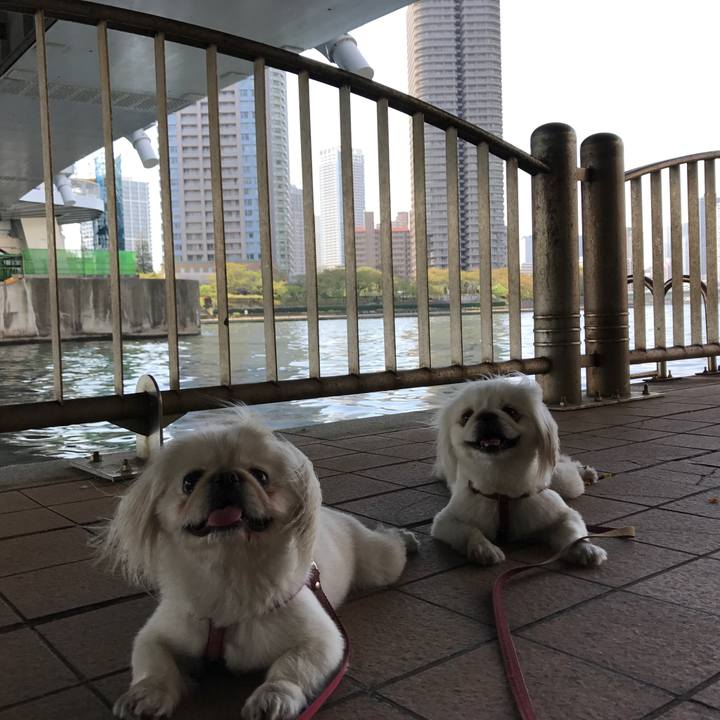 D11c13c3 de5d 4cad 8072 c650f7bede36