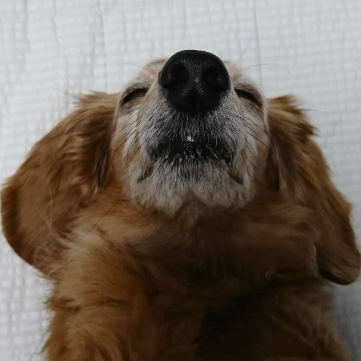 D11d4ea1 45c0 4e22 b3e0 f255dd0c1d0c