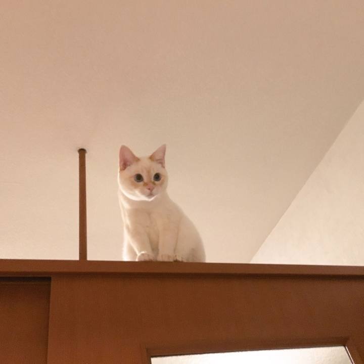 D11d8007 184c 467e 975e 9d3b396bc107