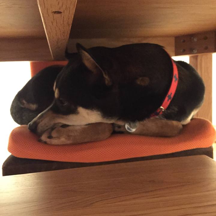 D11dce20 bac6 4124 a703 8c806ae937e2