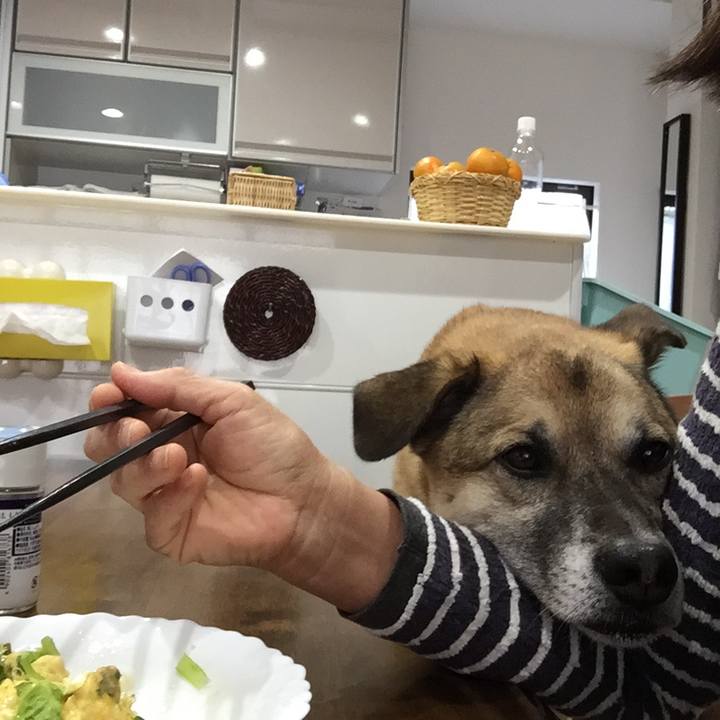 D11e1150 3179 48e8 8b4a 4553d9ff880a