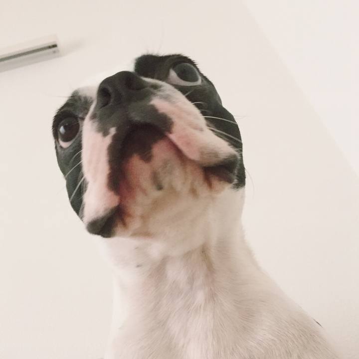 D11e5b66 05a9 48ca 932e 445570aca052