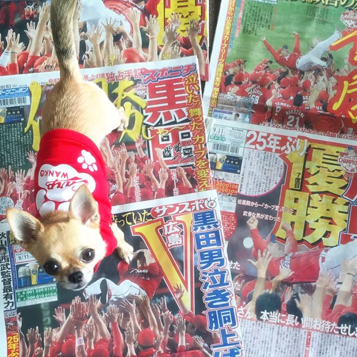 D12106bd d908 4d6d 8e78 d9145c9b0ec6